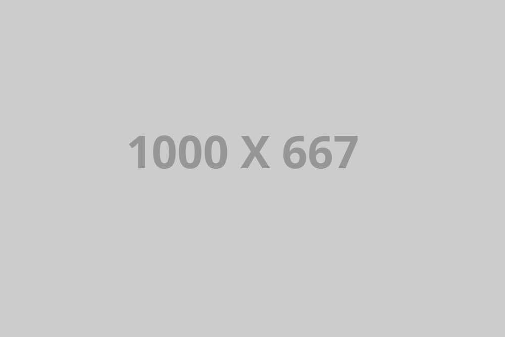 1000x667-ph